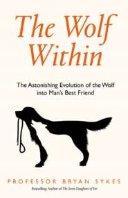 The Wolf Within: The Astonishing Evolution of the Wolf into Man’s Best Friend