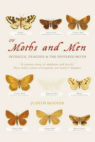 Of Moths and Men: Intrigue, Tragedy and the Peppered Moth