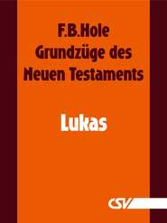 Grundzüge des Neuen Testaments - Lukas