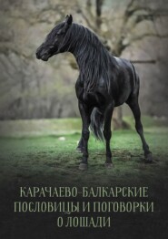 Карачаево-Балкарские пословицы и поговорки о лошади