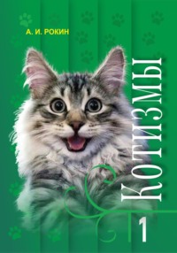 Стихи про кошек, котят, кота - Поэзия - - irhidey.ru