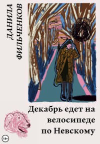 71031571 [Данила Фильченков] Декабрь едет на велосипеде по Невскому