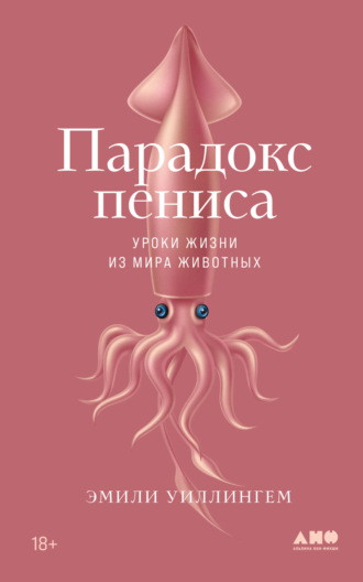 Расположение пениса во влагалище. Смотреть расположение пениса во влагалище онлайн