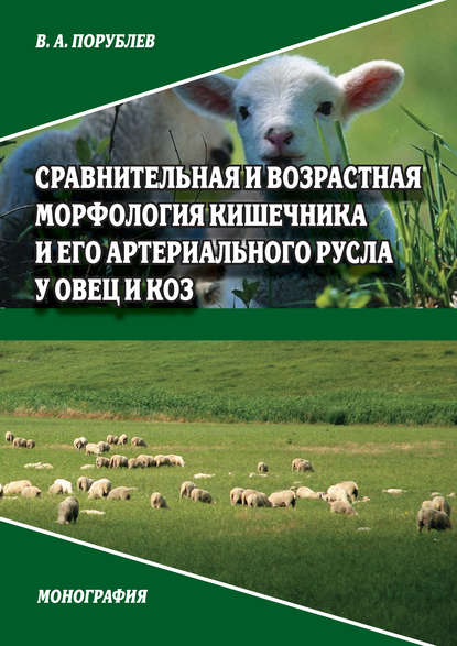 В. А. Порублев - Сравнительная и возрастная морфология кишечника и его артериального русла у овец и коз