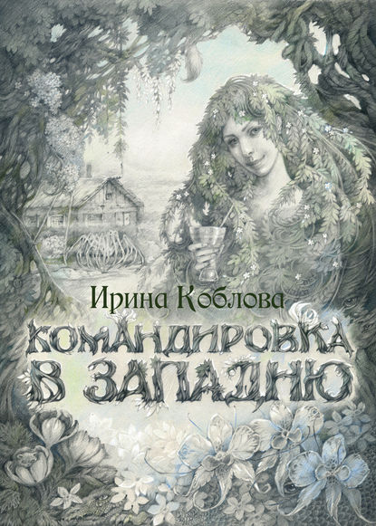 

Командировка в западню
