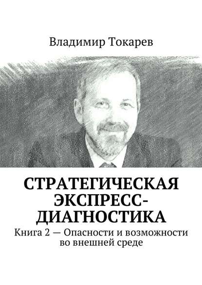 Владимир Токарев — Стратегическая экспресс-диагностика. Книга 2 – Опасности и возможности во внешней среде
