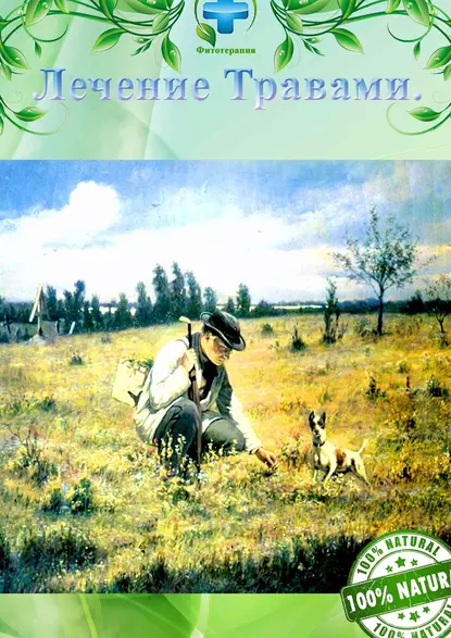 Обложка книги Лечение травами. Фитотерапия, Алишер Жаббарович Абдалиев