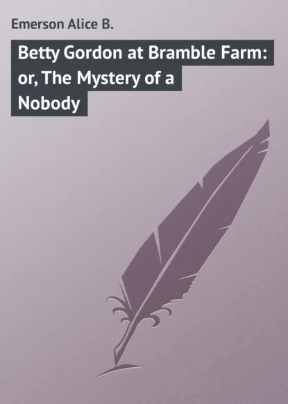 Обложка книги Betty Gordon at Bramble Farm: or, The Mystery of a Nobody, Emerson Alice B.