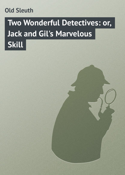 Two Wonderful Detectives: or, Jack and Gil's Marvelous Skill - Old Sleuth