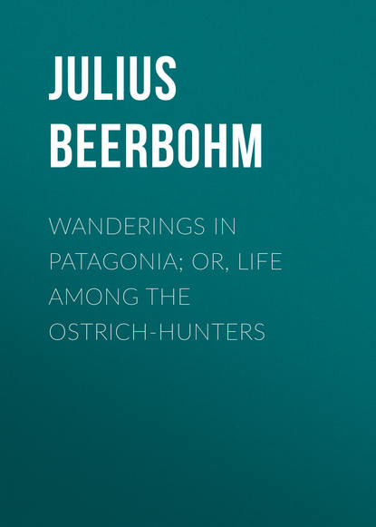 Beerbohm Julius — Wanderings in Patagonia; Or, Life Among the Ostrich-Hunters