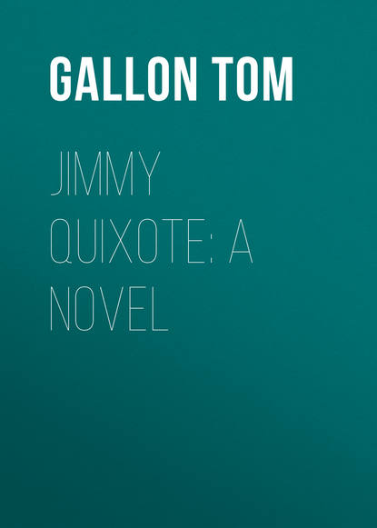 Jimmy Quixote: A Novel (Gallon Tom). 