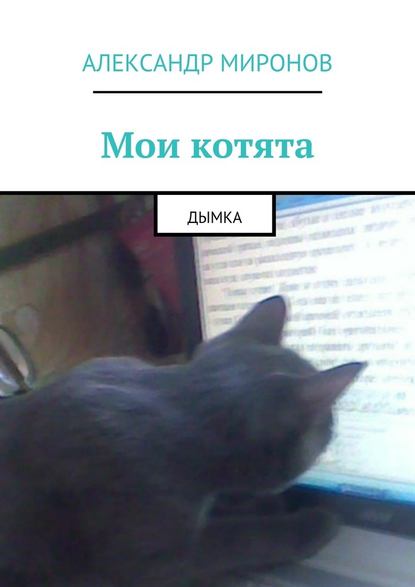 Александр Миронов — Мои котята. Дымка