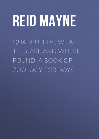 Майн Рид — Quadrupeds, What They Are and Where Found: A Book of Zoology for Boys