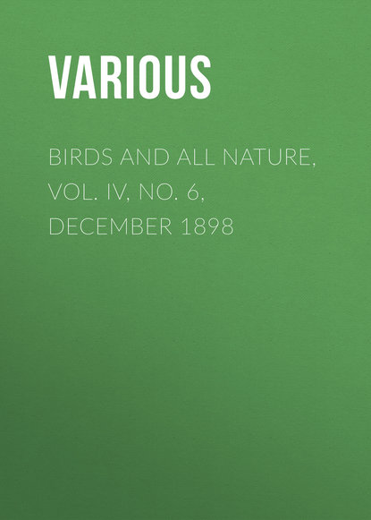 Various — Birds and all Nature, Vol. IV, No. 6, December 1898