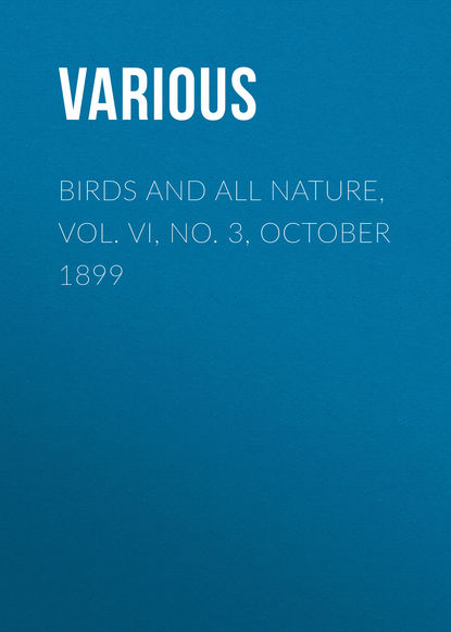 Various — Birds and All Nature, Vol. VI, No. 3, October 1899