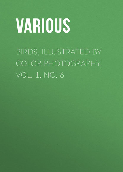 Birds, Illustrated by Color Photography, Vol. 1, No. 6 (Various). 