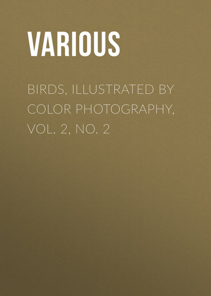 Birds, Illustrated by Color Photography, Vol. 2, No. 2 (Various). 