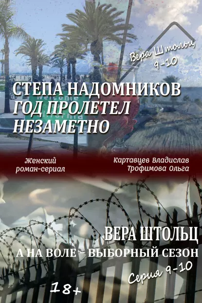 Обложка книги Степа Надомников. Жизнь на чужбине. Год пролетел незаметно. Вера Штольц. А на воле – выборный сезон. Серия 9–10 (сборник), Владислав Картавцев