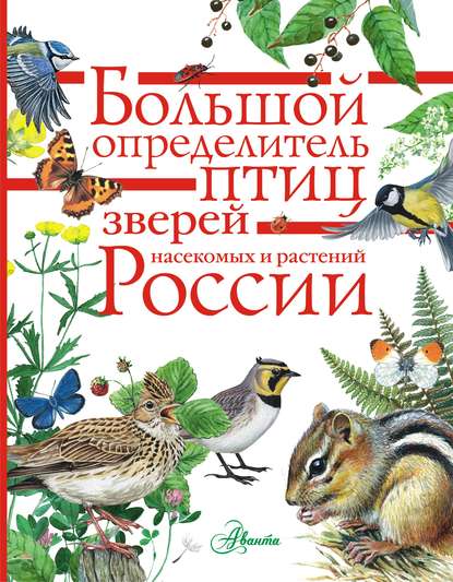 Коллектив авторов - Большой определитель птиц, зверей, насекомых и растений России