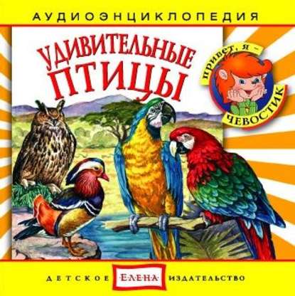 Детское издательство Елена — Удивительные птицы