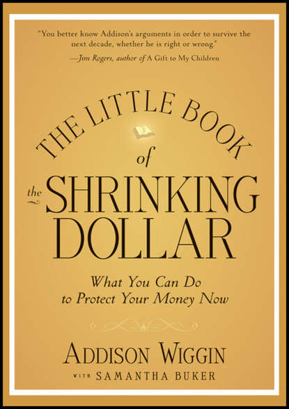 Addison  Wiggin - The Little Book of the Shrinking Dollar. What You Can Do to Protect Your Money Now