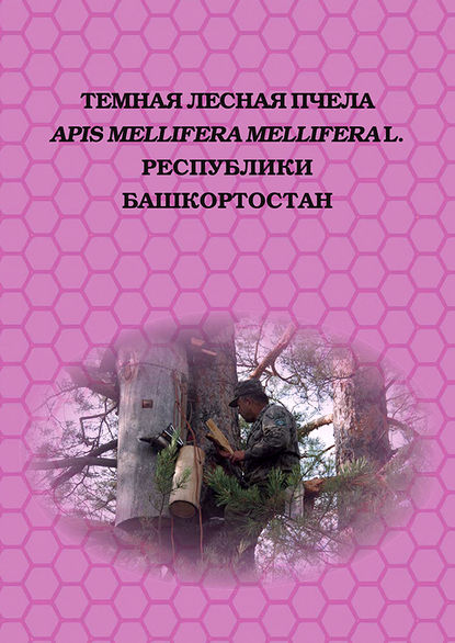 Коллектив авторов - Темная лесная пчела (Apis mellifera mellifera L.) Республики Башкортостан
