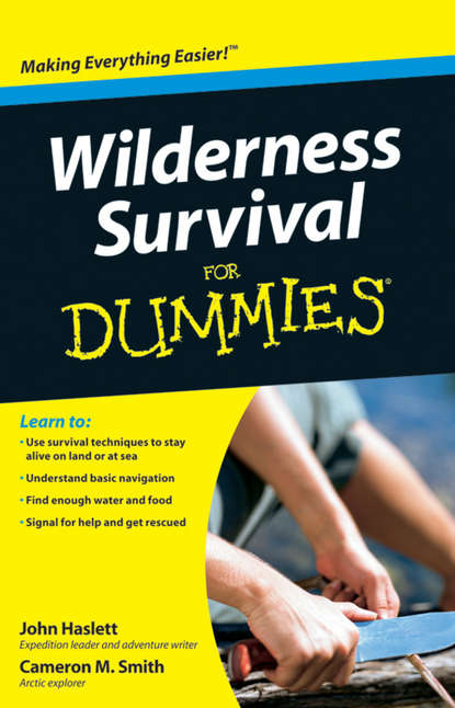 Cameron Smith M. — Wilderness Survival For Dummies