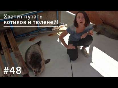 Евгения Тимонова — Хватит путать котиков и тюленей!