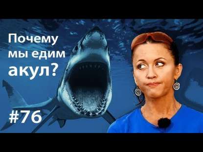 Евгения Тимонова — Почему мы едим акул?