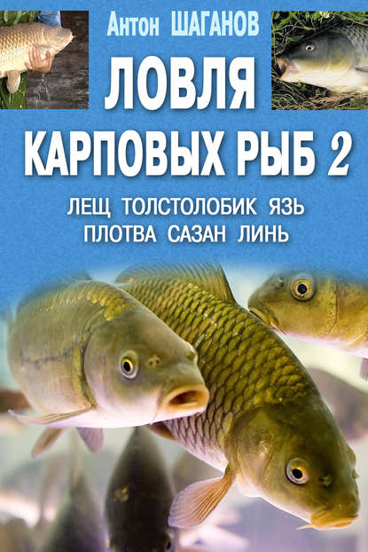 Антон Шаганов — Ловля карповых рыб – 2