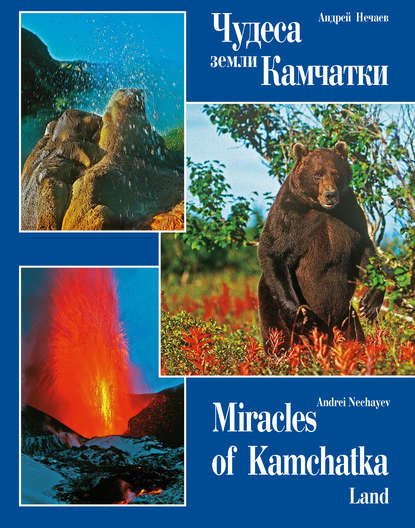 Чудеса земли Камчатки / Miracles of Kamchatka Land (Андрей Мартэнович Нечаев). 2015г. 