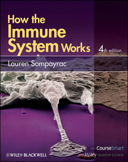 How the Immune System Works - Lauren Sompayrac M.