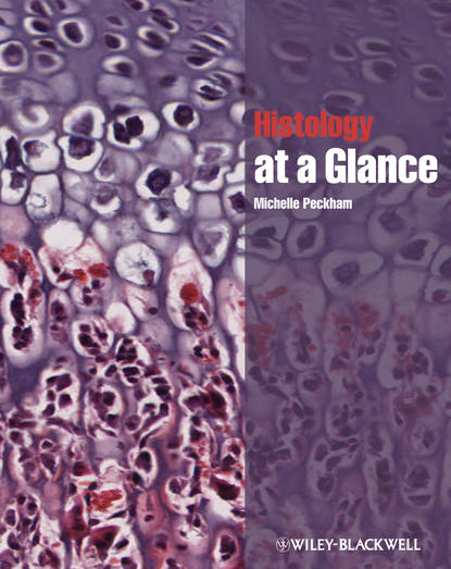 Michelle  Peckham - Histology at a Glance