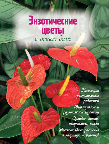 Наталья Власова - Экзотические цветы в вашем доме