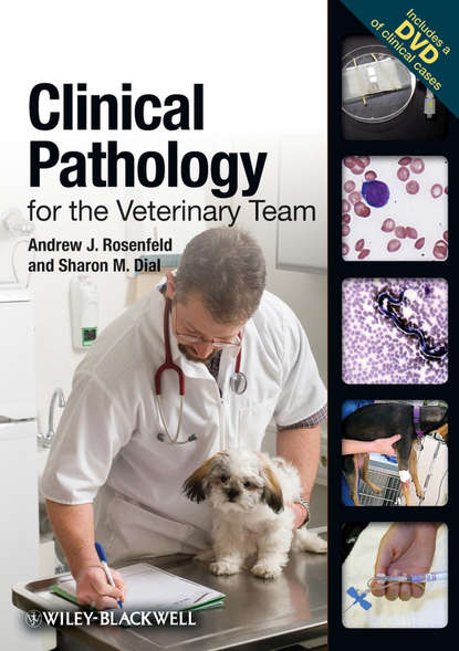 Clinical Pathology for the Veterinary Team