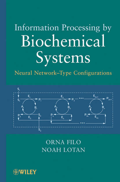 Filo Orna - Information Processing by Biochemical Systems. Neural Network-Type Configurations