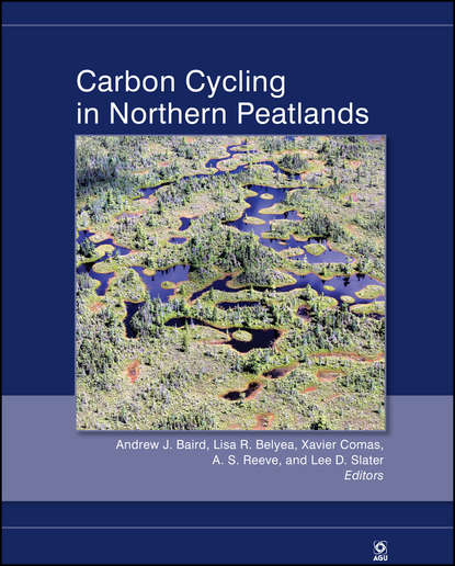 Группа авторов - Carbon Cycling in Northern Peatlands