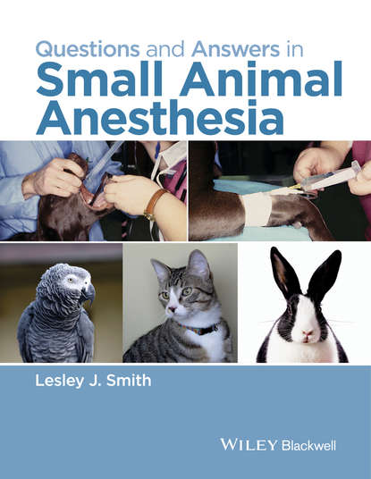 Группа авторов - Questions and Answers in Small Animal Anesthesia