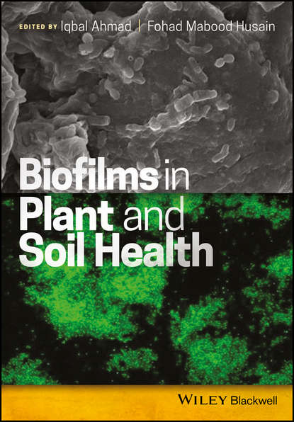 Biofilms in Plant and Soil Health - Группа авторов