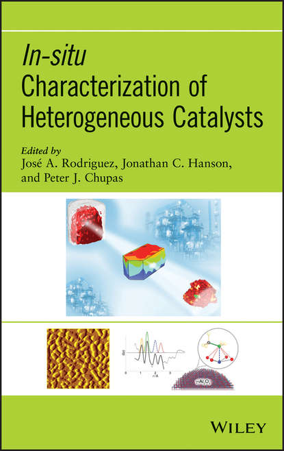 Группа авторов - In-situ Characterization of Heterogeneous Catalysts