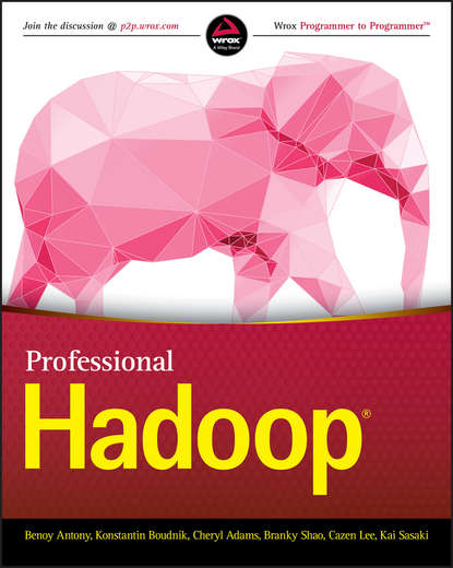Benoy Antony - Professional Hadoop