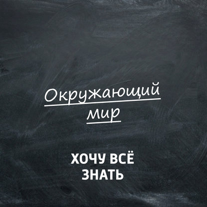 

Купание в открытых водоемах: безопасность на воде