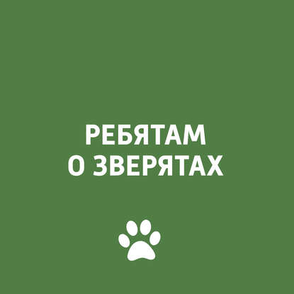 Творческий коллектив программы «Пора домой» — Весенние проблемы у домашних питомцев