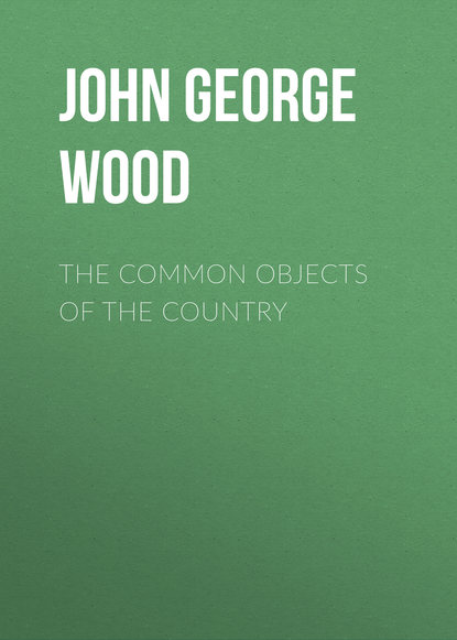 The Common Objects of the Country (John George Wood). 