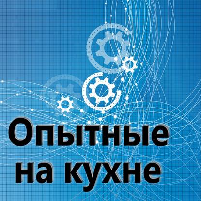 

Опытные на кухне №049