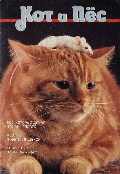 Группа авторов — Кот и Пёс №02/1995