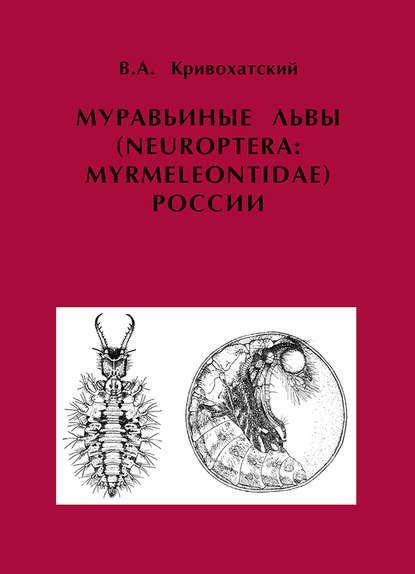 Муравьиные львы (Neuroptera: Myrmeleontidae) России : В. А. Кривохатский