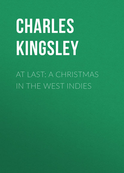 At Last: A Christmas in the West Indies (Charles Kingsley). 