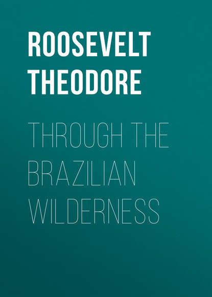 Through the Brazilian Wilderness (Roosevelt Theodore). 