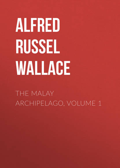 Alfred Russel Wallace — The Malay Archipelago, Volume 1